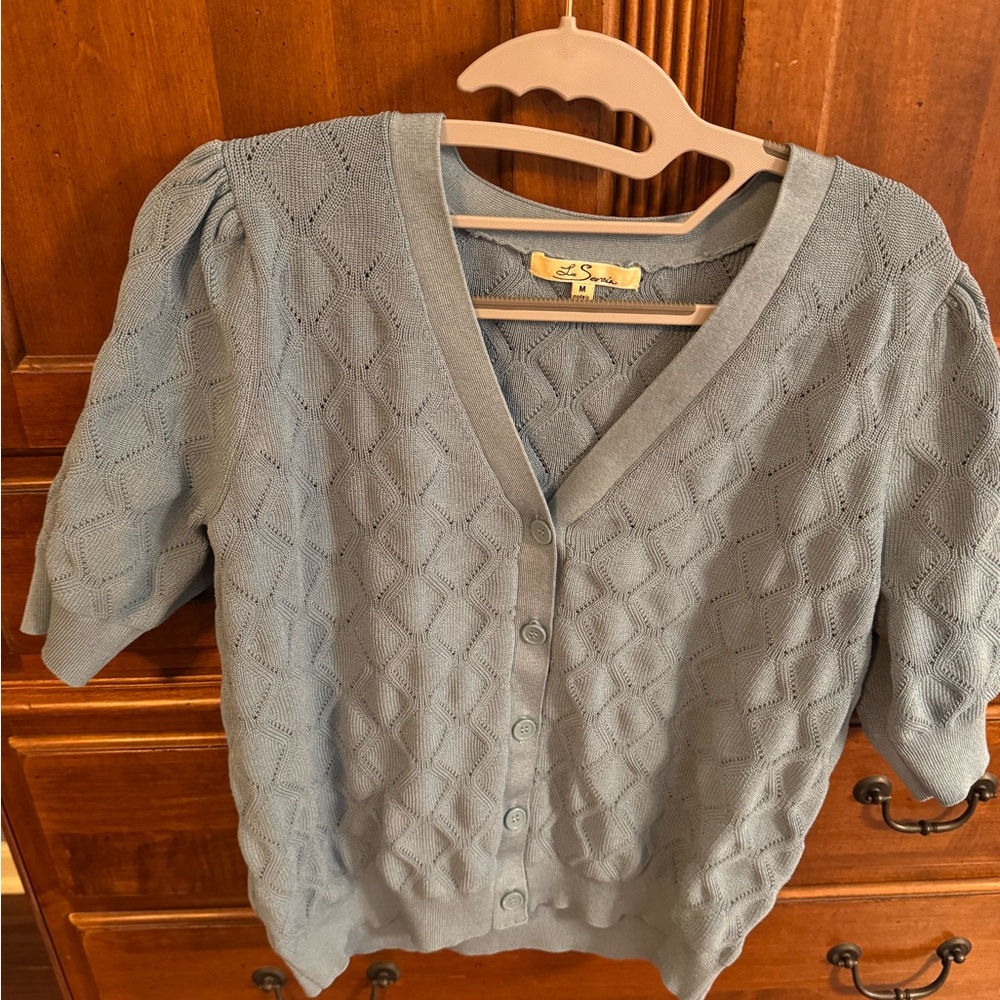 Blue V-Neck Women's Sweater
